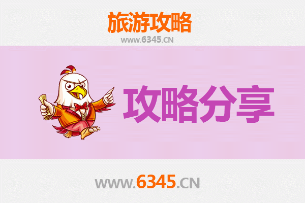 汉中南郑至湄洲岛旅游攻略：跟团还是自由行深度解析